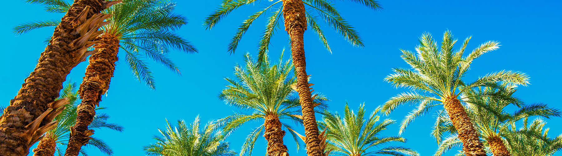Background Image testing